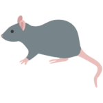Mouse icon