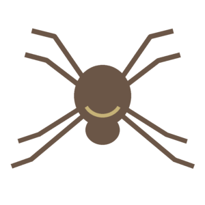 Educational illustration of a common house spider