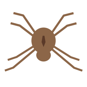 Educational illustration of a recluse-type spider