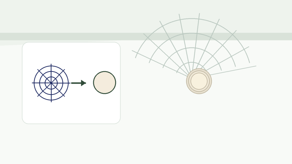 Illustration of a spider web with an egg sac, showing how removing the web interrupts the cycle