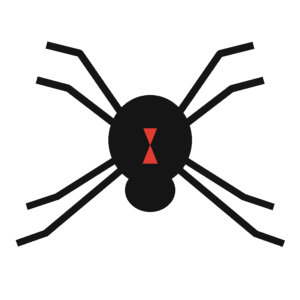 Educational illustration of a widow-type spider